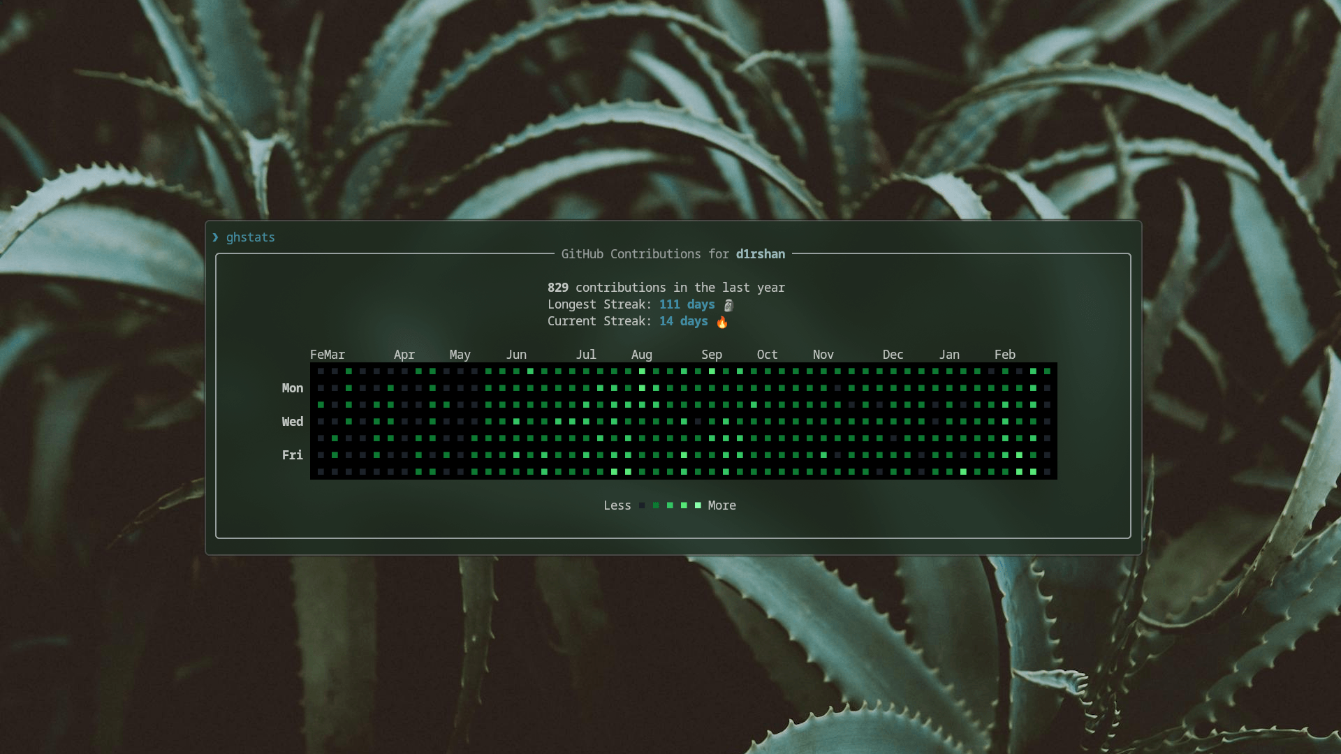ghstats-cli project preview